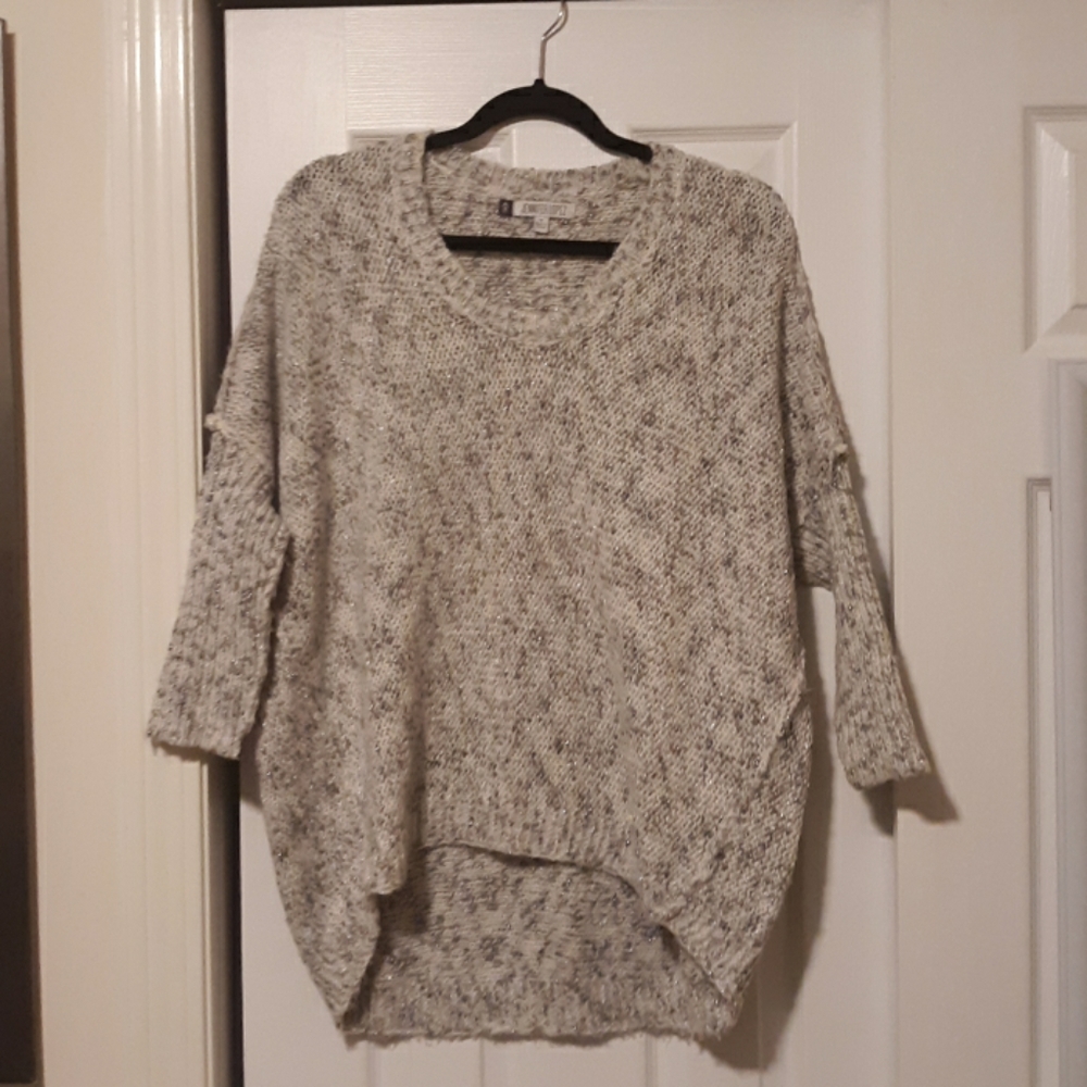Oversized sweater nwot